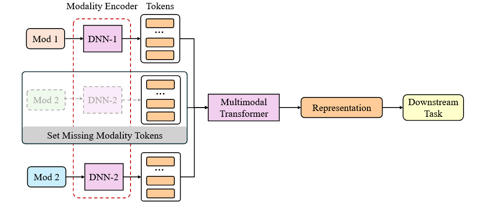 基于 Transformer 的方法